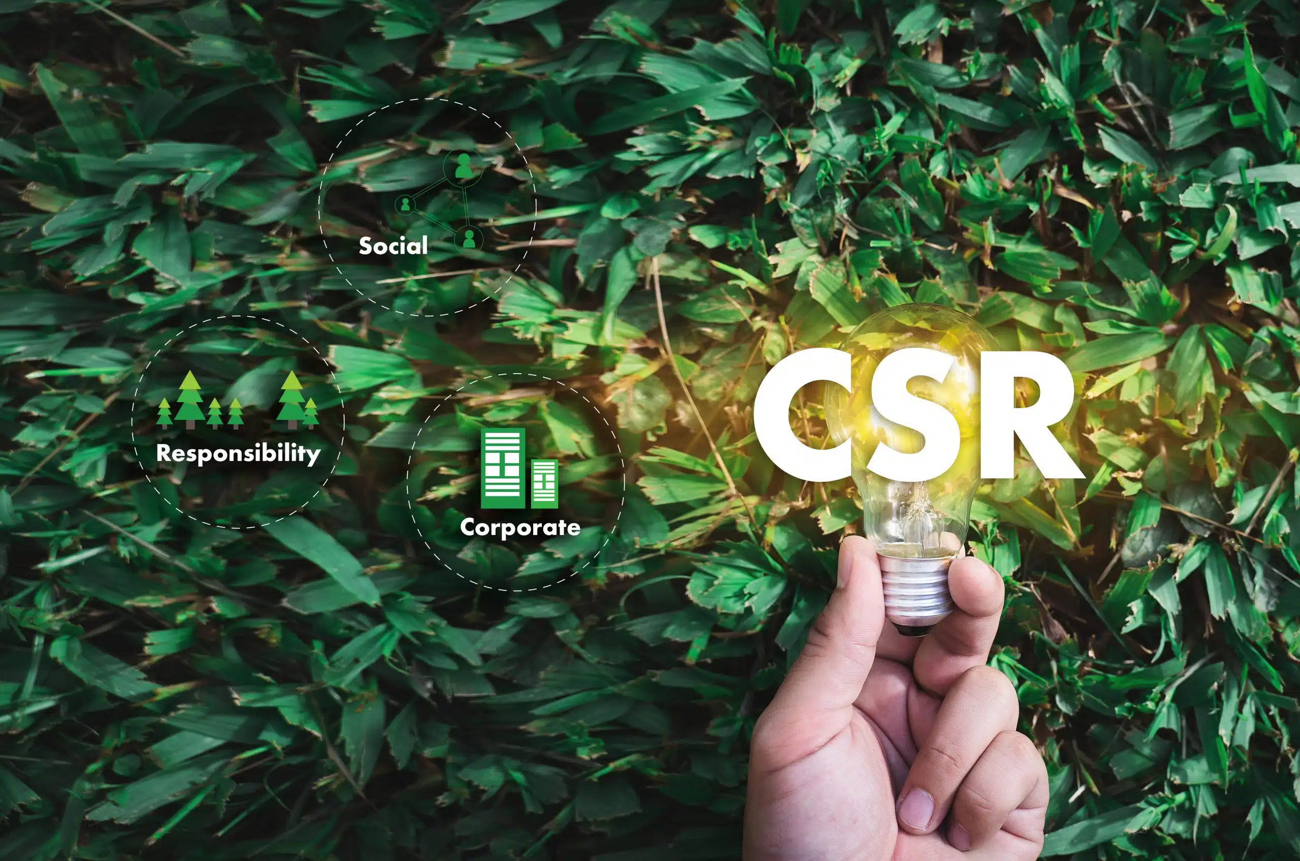 What Is CSR (Corporate Citizenship)? Types & Benefits of Corporate Social Responsibility