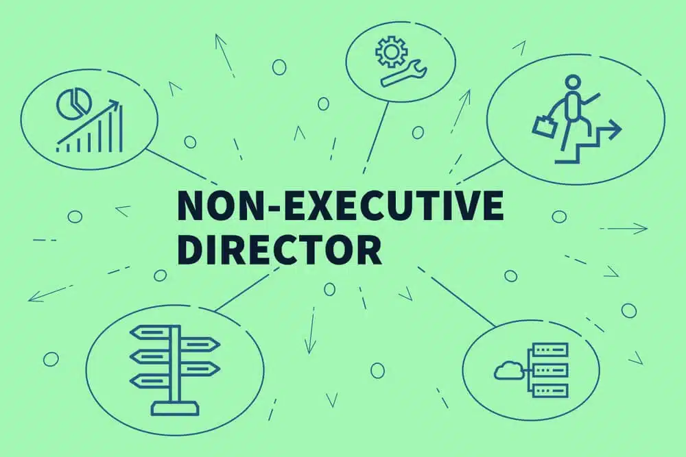 Non-Executive Director Roles & Salary Explained