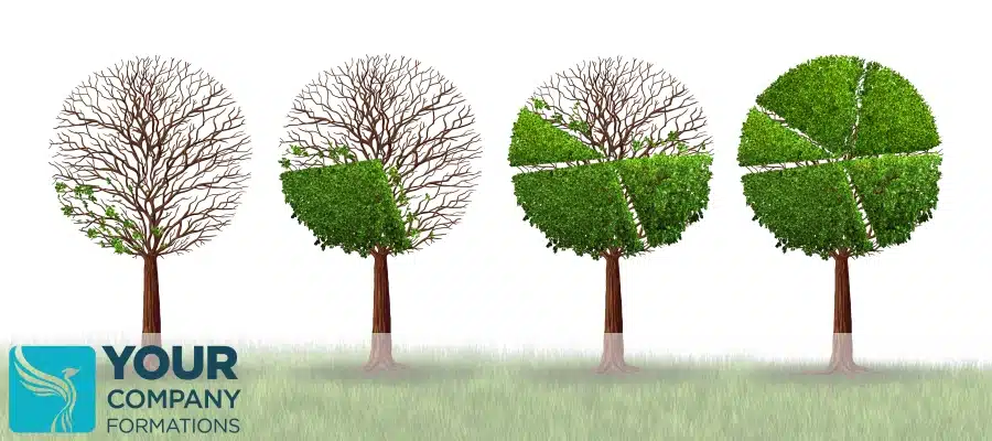 Four trees with segmented foliage showing changing sections, illustrating how to add and remove a company shareholder concept