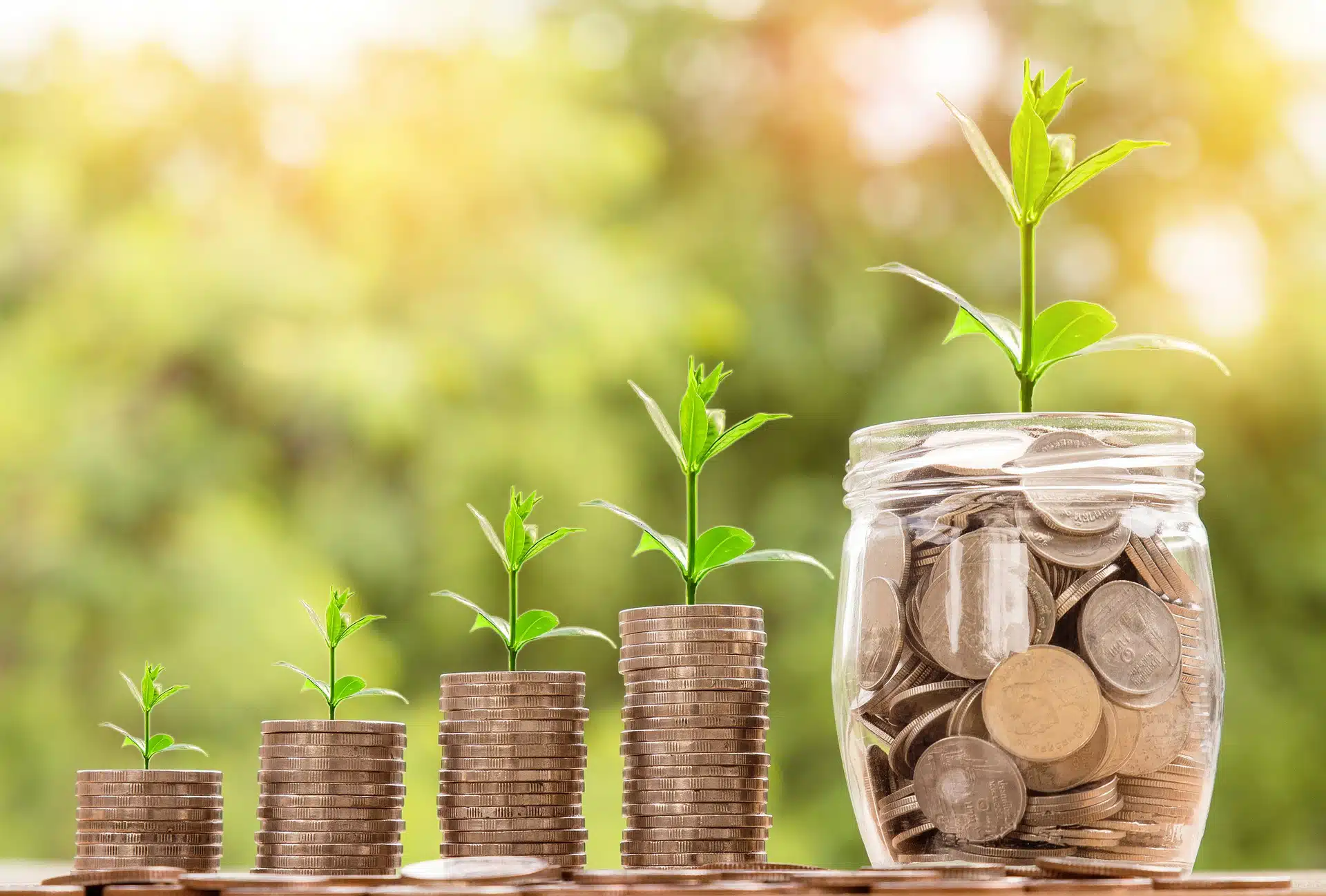 A Guide to Business Financing and Loans
