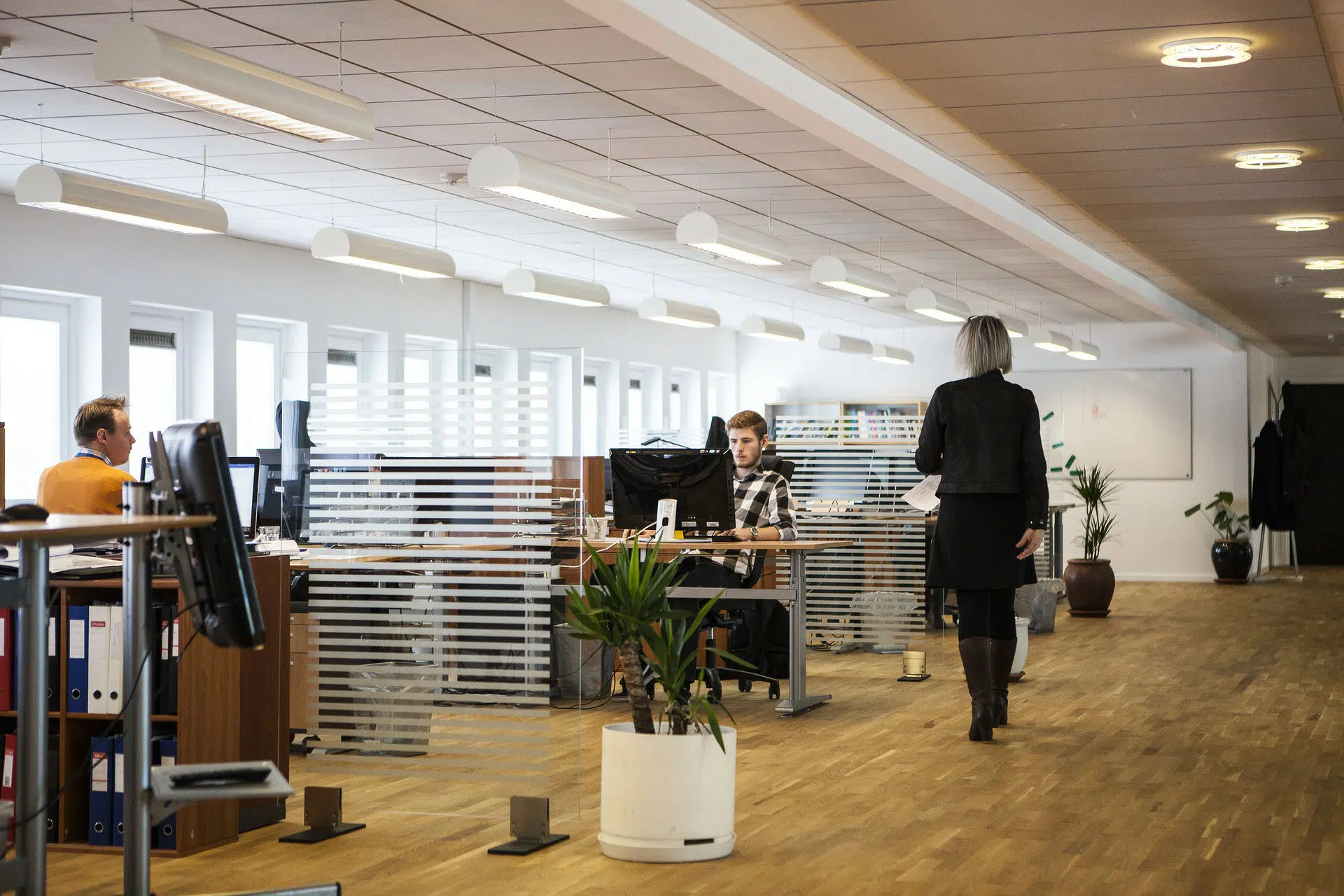 Employees working at desks in a modern office with glass partitions, plants and overhead lights for Start-up Company Rate Seems Unaffected by Brexit
