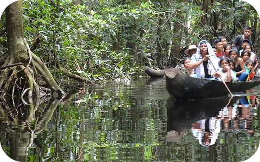 Matavén Forest Protection Your Company Formations