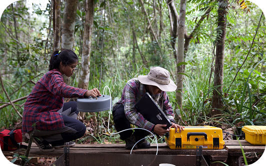 Peatland Restoration and Conservation Your Company Formations
