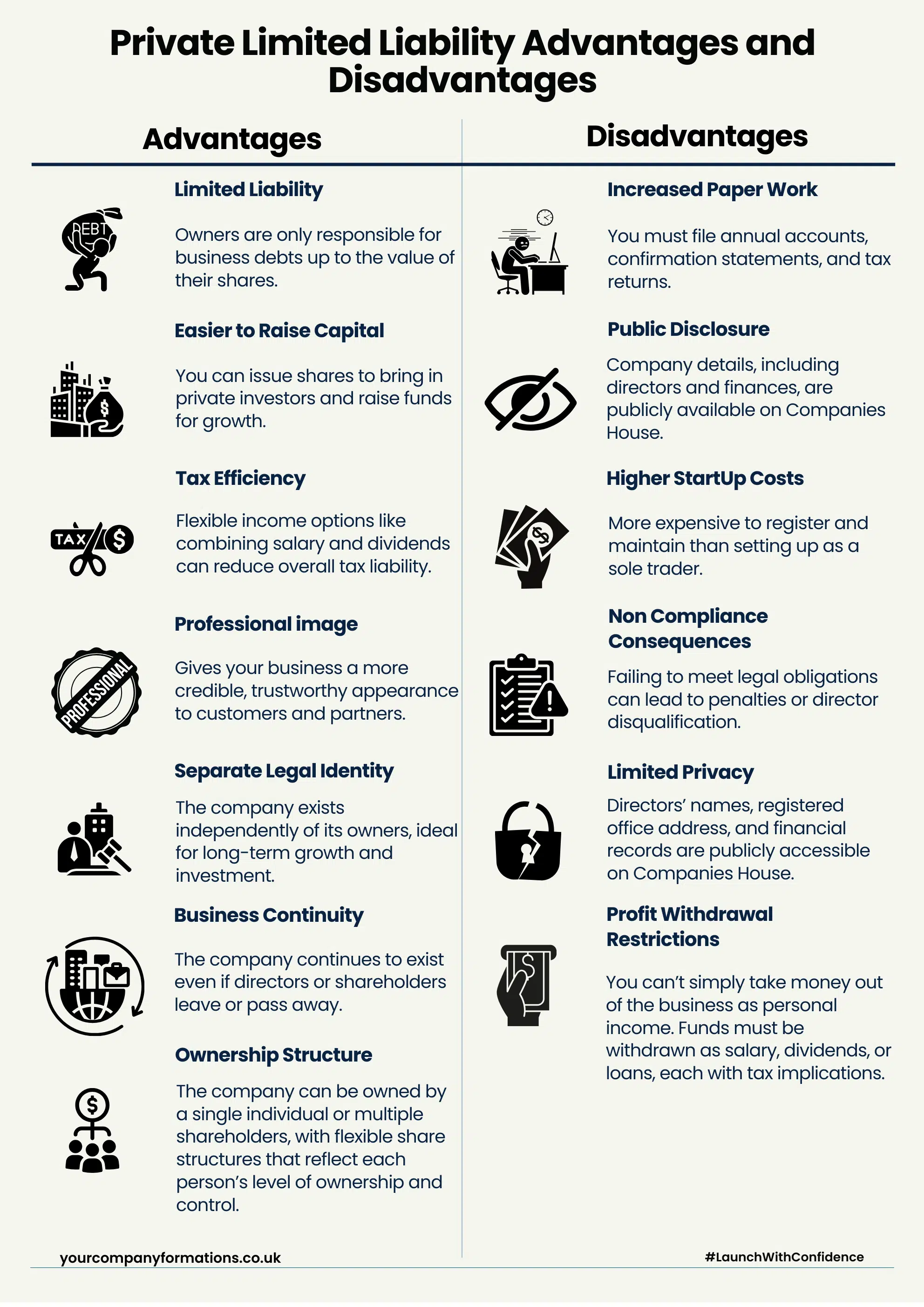 Infographic showing advantages and disadvantages of a private limited company